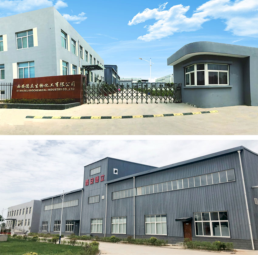 Xi'an Deli Biochemical Industry Co., Ltd.: Toonaangevende innovatie in cyclodextrin -derivaten, waardoor de farmaceutische industrie wordt gemachtigd